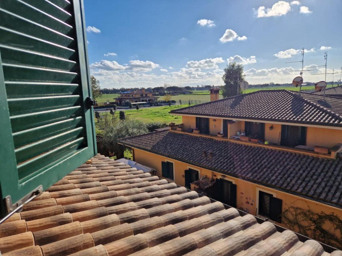 Casa Elsa Lägenhet Palidoro Exteriör bild